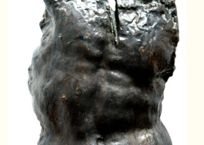 Generic Sculptures 20-seven-torsos-fragment-1
